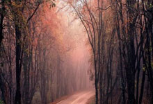 巅峰国际官网：伊万下课呼声再起，足协为何按兵不动？.