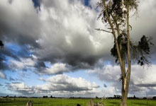 巅峰国际官网：海南省青少年高尔夫球巡回赛（美兰站）收杆.