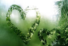 逆转世界第一 天才少女米拉WTA1000赛两连冠.