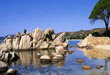 巅峰国际官网：一周进步10分钟网红峰哥参加黄浦半马，2小时15分22秒刷新PB.